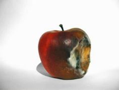 69299e647852dddc63de0df684f80c2d